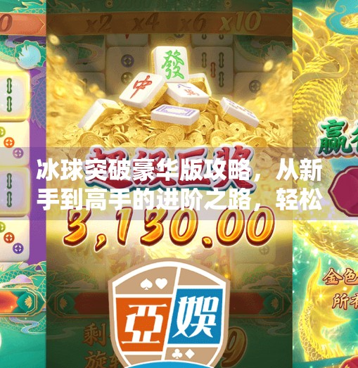 冰球突破豪华版攻略，从新手到高手的进阶之路，轻松赢在起跑线！冰球突破豪华版攻略
